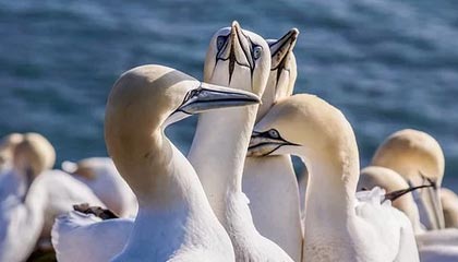 开云体育官方网-九游体育官网——开启你的极致游戏体验